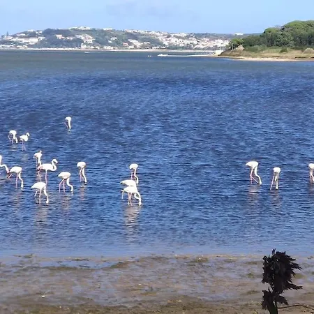 Casa Do Sol Nascente * 포즈도아렐로